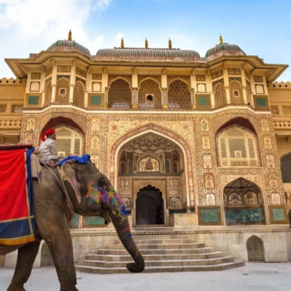 Jaipur - Family